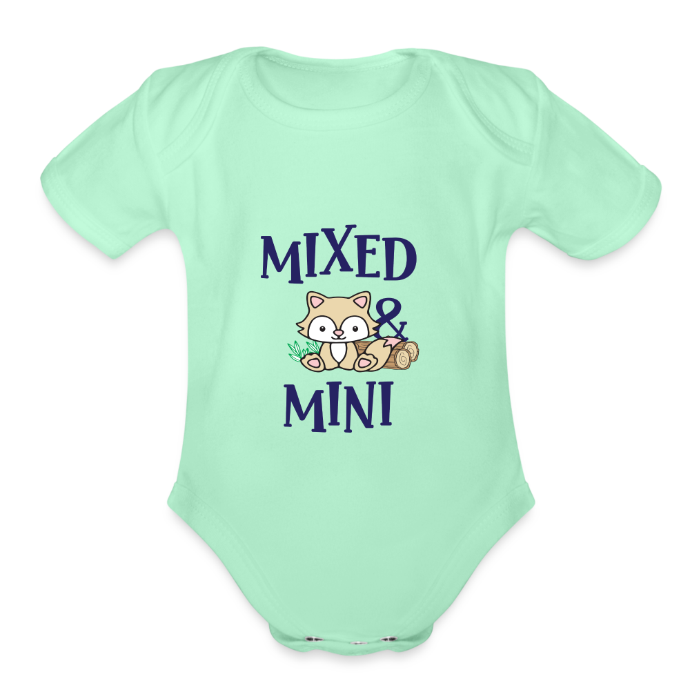 Organic Short Sleeve Baby Bodysuit - light mint